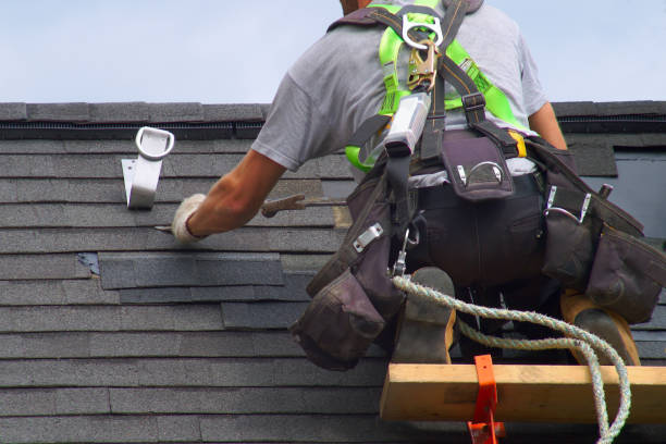 Best Shingle Roofing Installation  in Parowan, UT