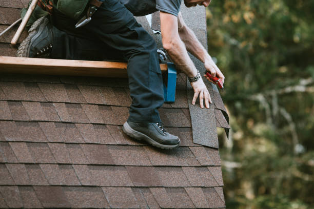 Best Roof Gutter Cleaning  in Parowan, UT