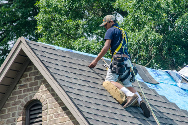 Best New Roof Installation  in Parowan, UT